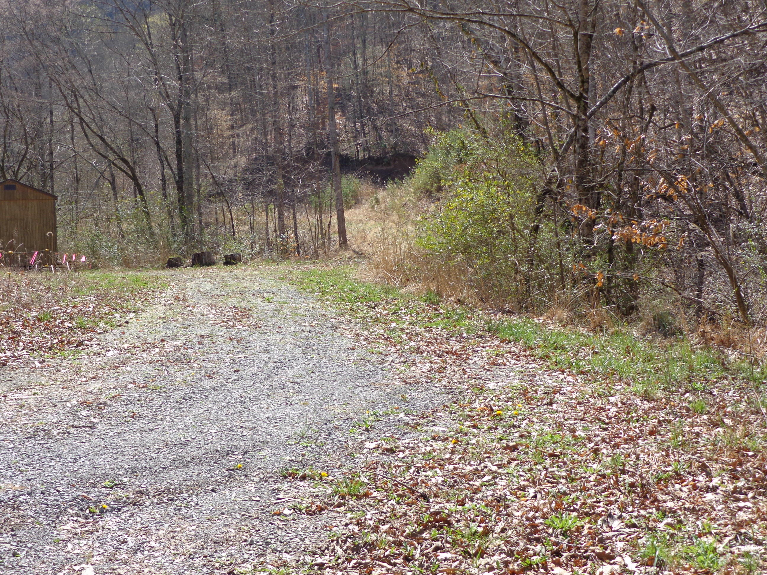 3451 Bridges Chapel Road Dandridge, TN 37725 - Photo 2 of 10 #560104 bridges chapel (1).JPG