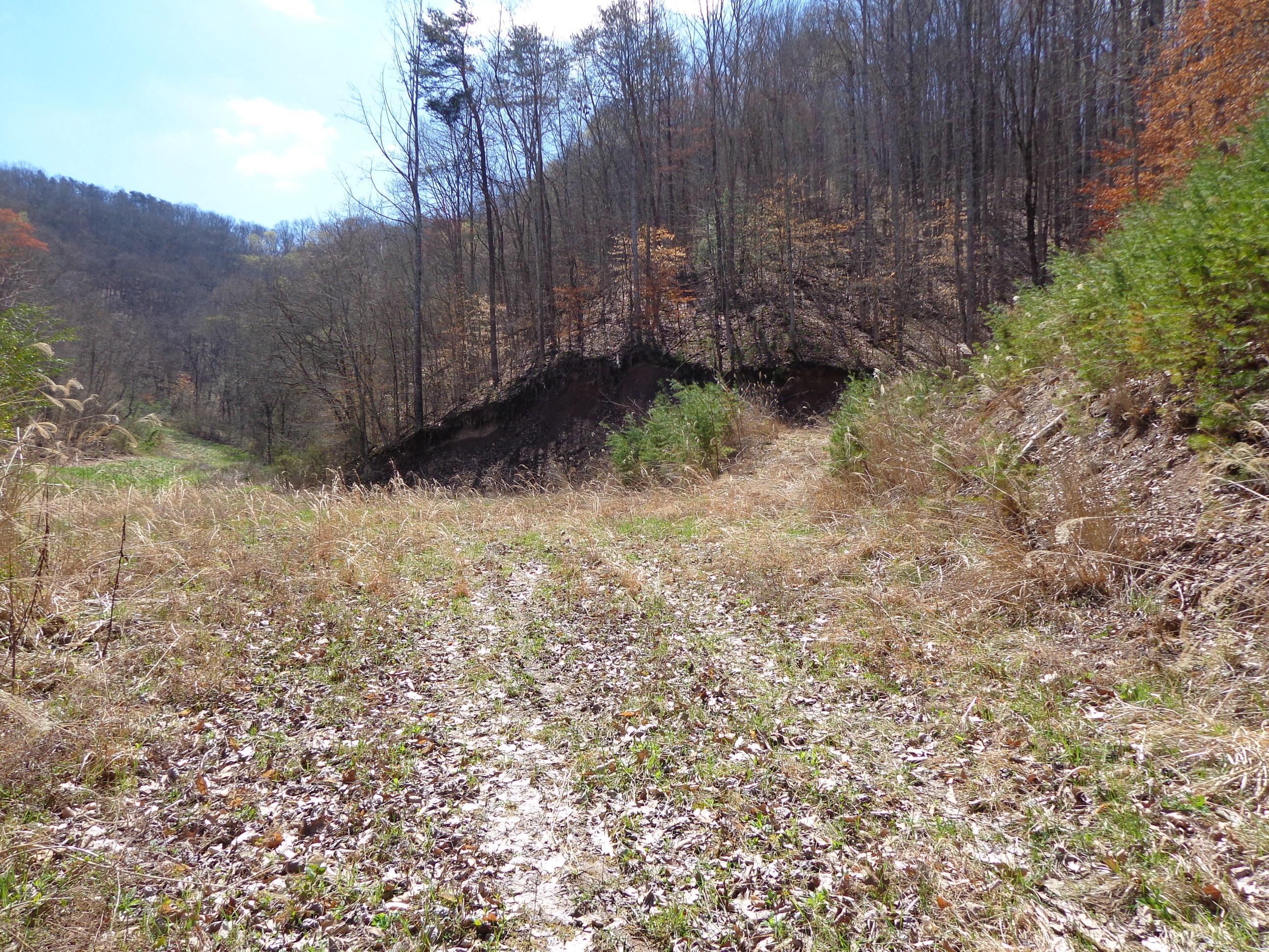 3451 Bridges Chapel Road Dandridge, TN 37725 - Photo 3 of 10 #560104 bridges chapel (3).JPG