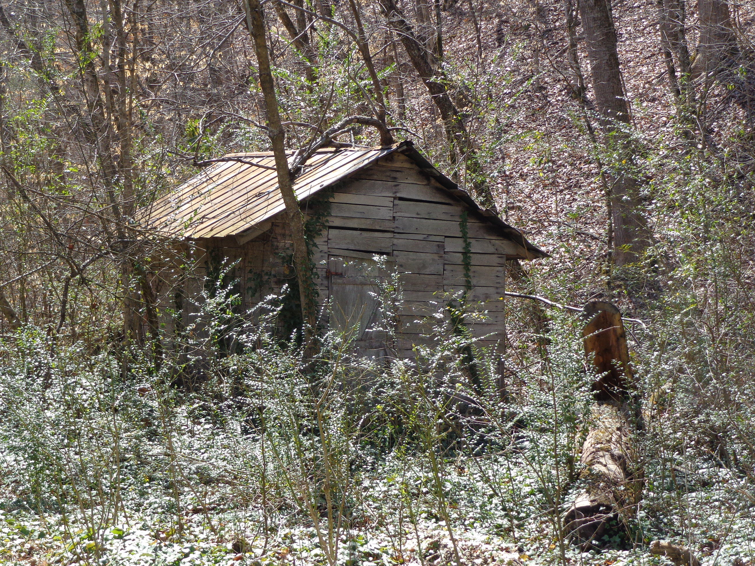 3451 Bridges Chapel Road Dandridge, TN 37725 - Photo 5 of 10 #560104 bridges chapel (7) - Copy.JPG