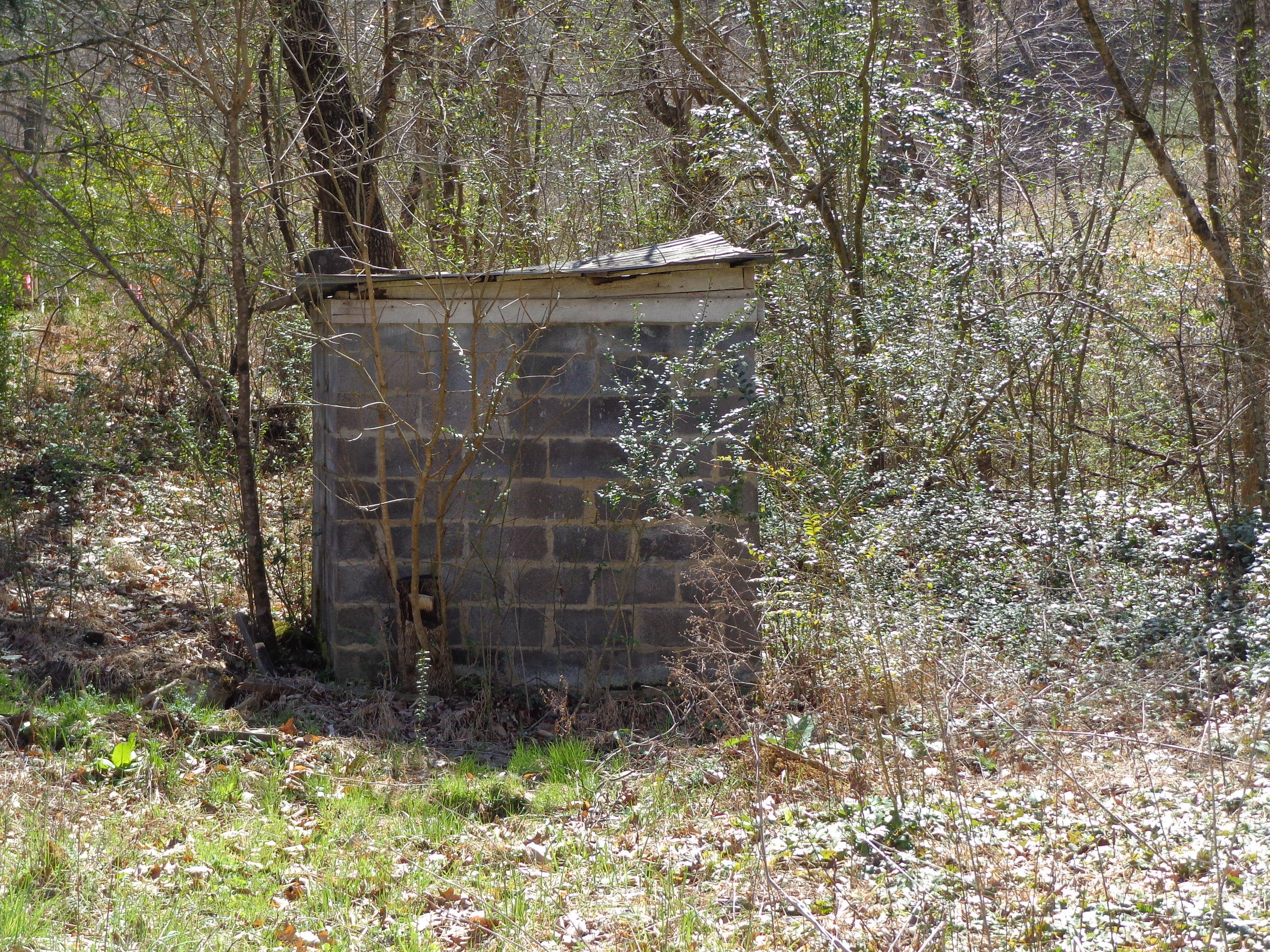 3451 Bridges Chapel Road Dandridge, TN 37725 - Photo 6 of 10 #560104 bridges chapel (8).JPG