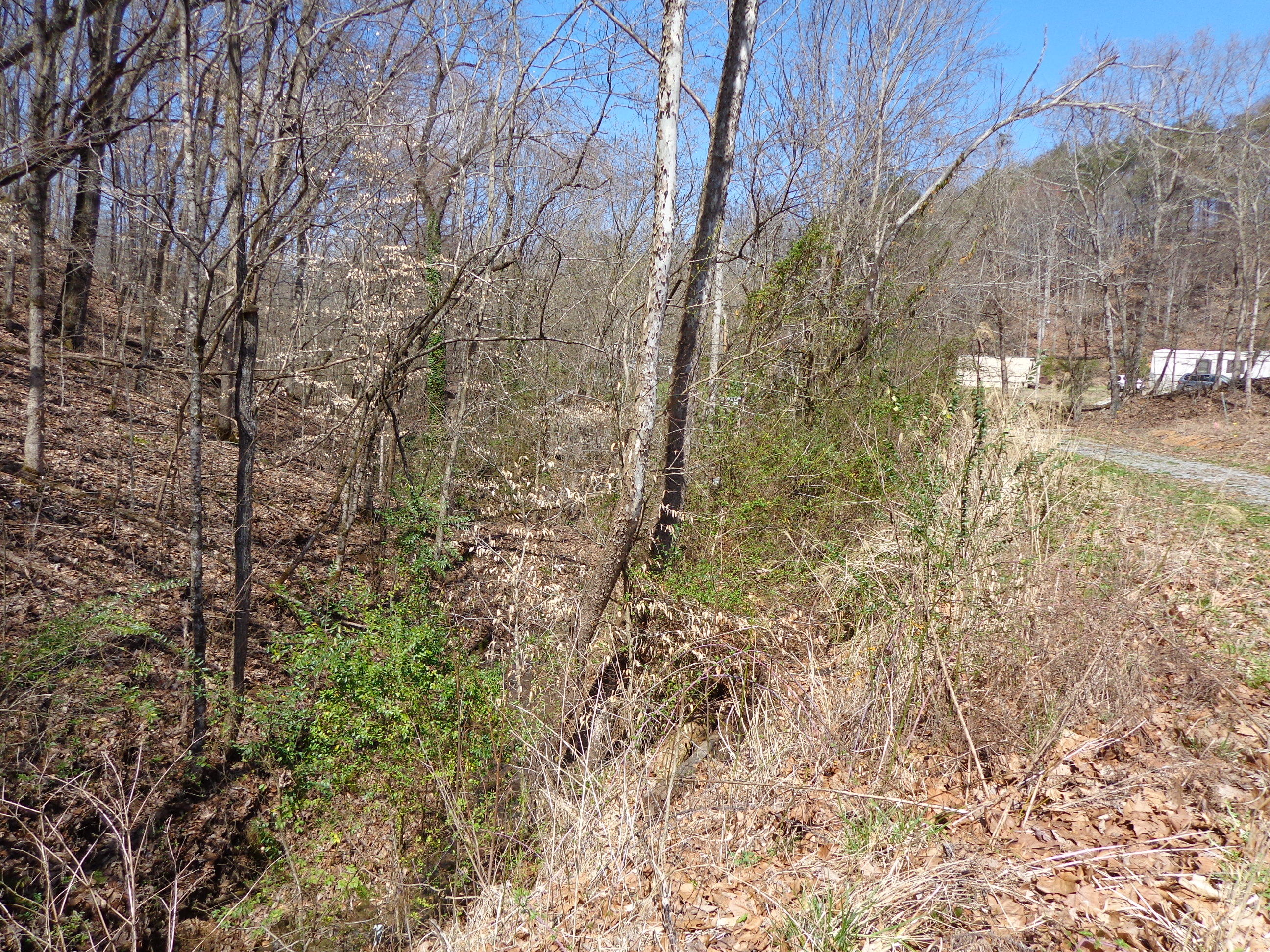 3451 Bridges Chapel Road Dandridge, TN 37725 - Photo 7 of 10 #560104 bridges chapel (2).JPG