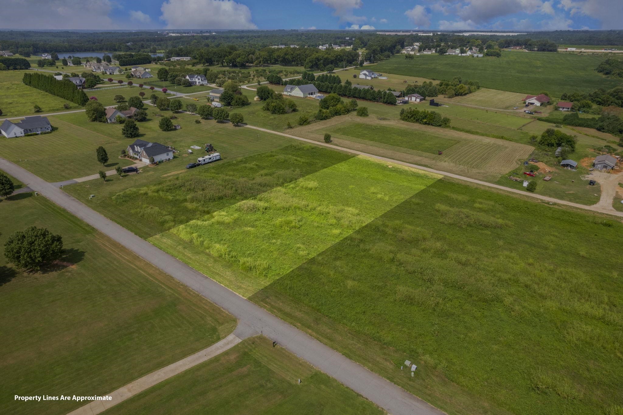 0 Carolina Orchard Road Cowpens, SC 29330 - Photo 3 of 12