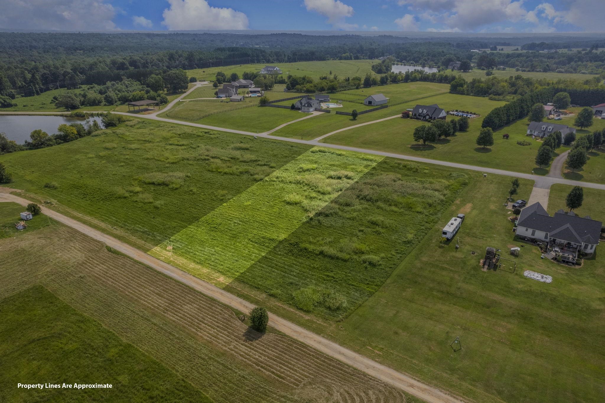 0 Carolina Orchard Road Cowpens, SC 29330 - Photo 4 of 12