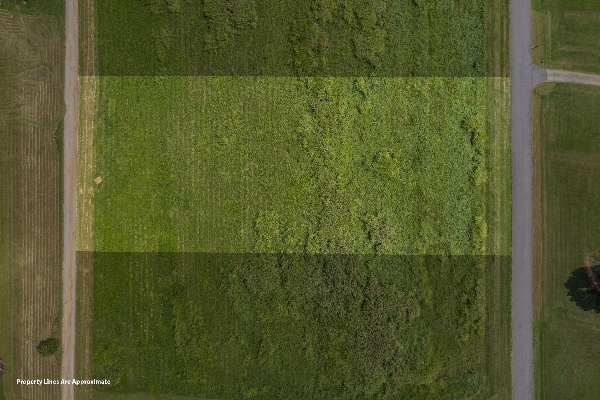 0 Carolina Orchard Road Cowpens, SC 29330 - Photo 5 of 12