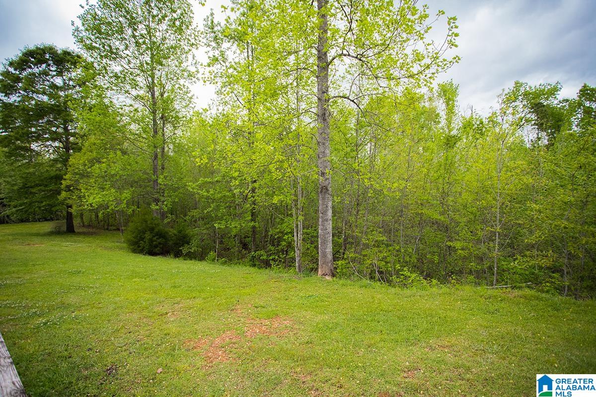 2004 Timber Lane Alabaster, AL 35007 - Photo 41 of 46