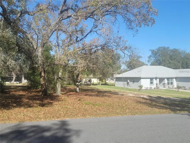 a view of a yard with plants and trees