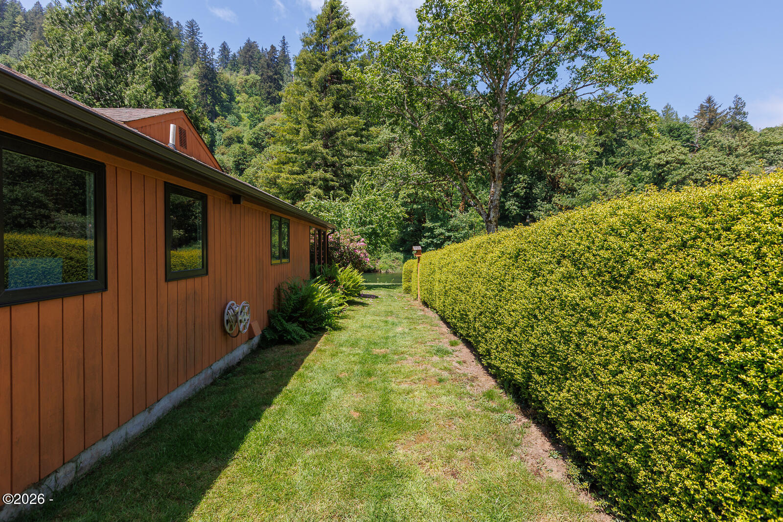 664 Little Switzerland Road Tidewater, OR 97390 - Photo 43 of 68 Side yard