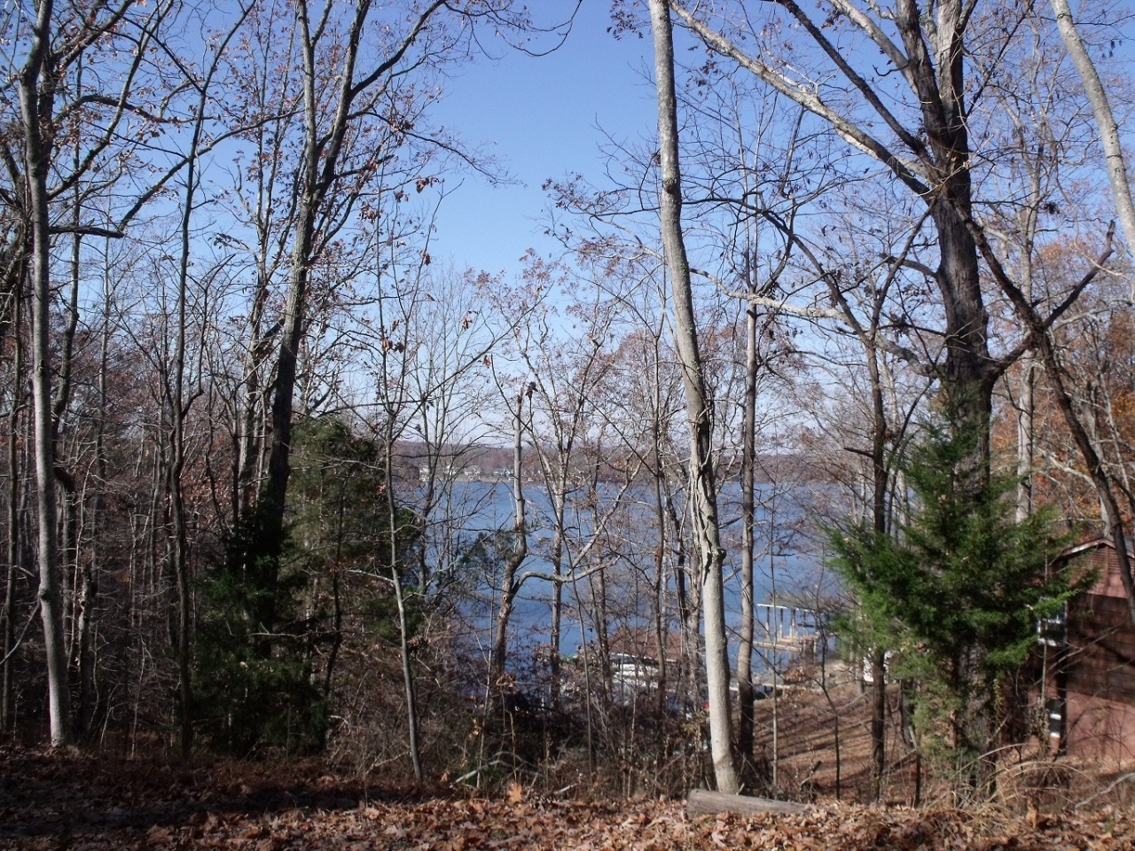 Lot 135 High Point Road Moneta, VA 24121 - Photo 1 of 6 View of Property