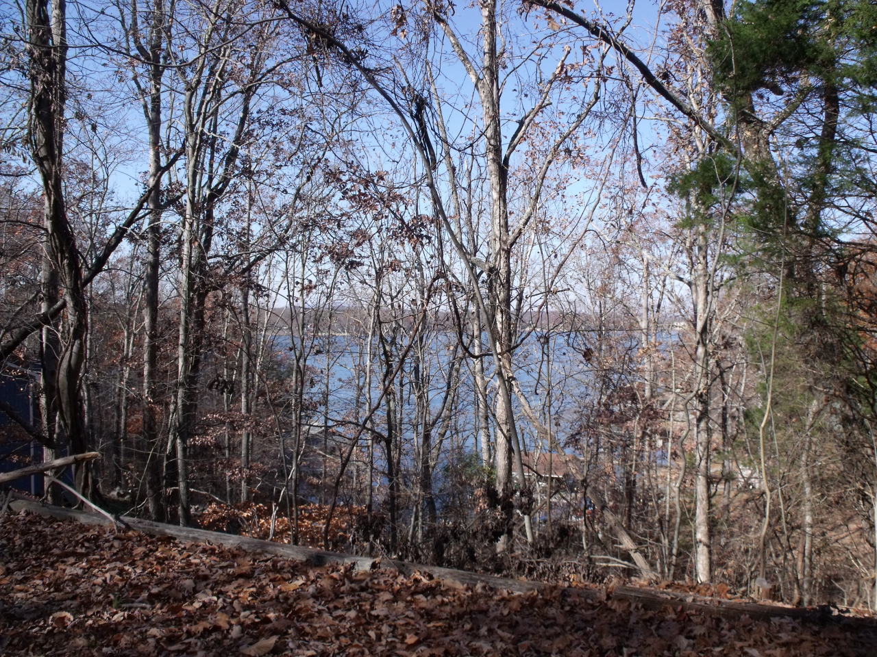 Lot 135 High Point Road Moneta, VA 24121 - Photo 3 of 6 DSCF4399