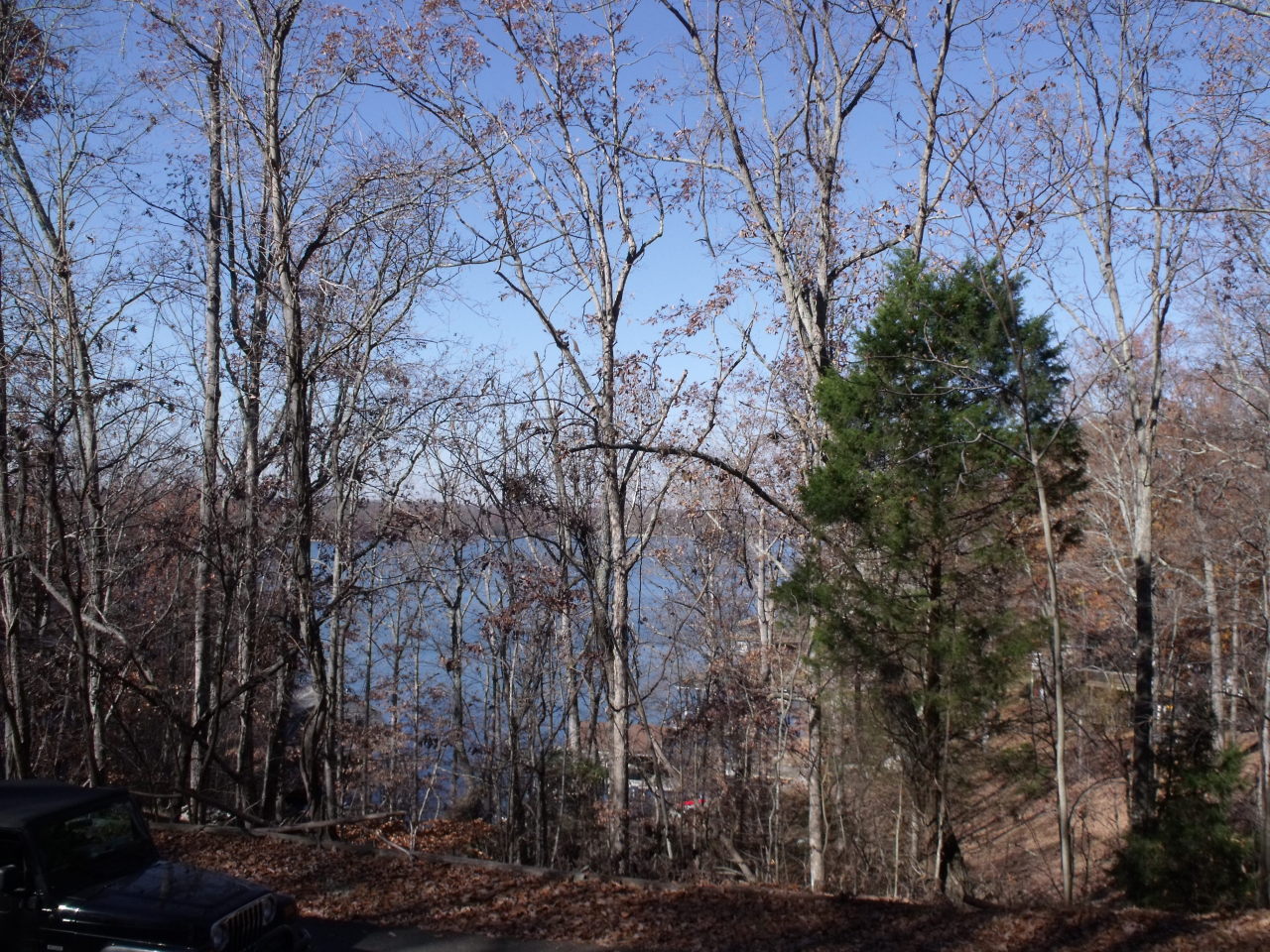 Lot 135 High Point Road Moneta, VA 24121 - Photo 4 of 6 DSCF4400