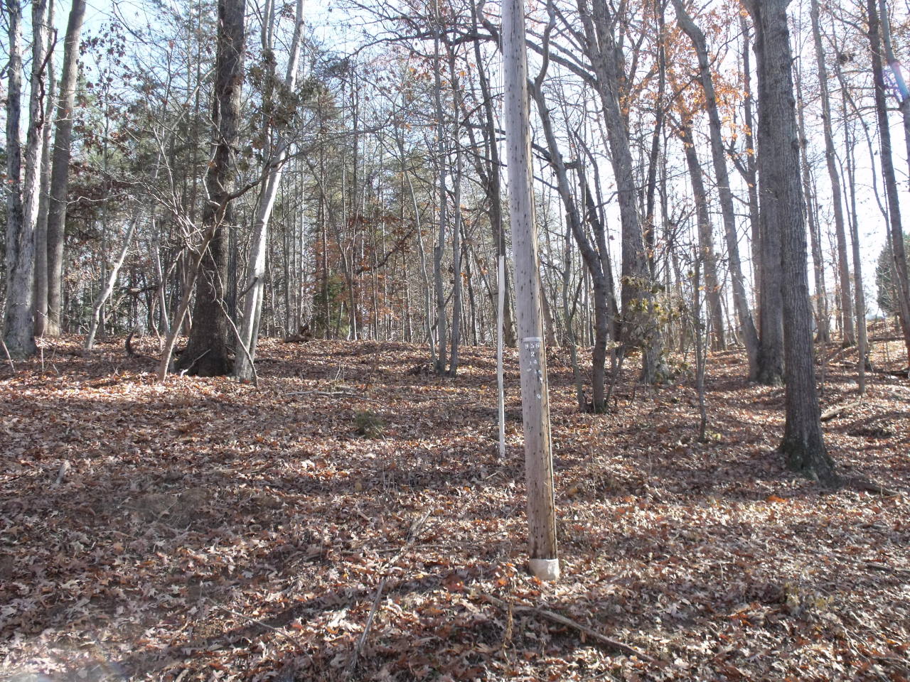 Lot 135 High Point Road Moneta, VA 24121 - Photo 6 of 6 DSCF4402