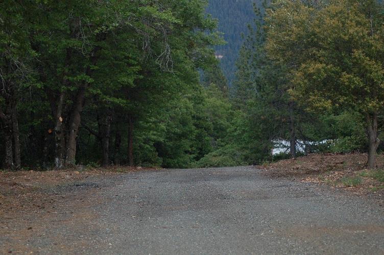 1445 Mott Road Mount Shasta, CA 96067 - Photo 5 of 8 DSC_0194