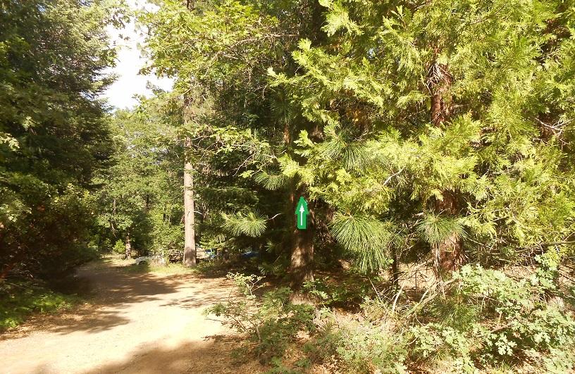1445 Mott Road Mount Shasta, CA 96067 - Photo 7 of 8 DSCN9714