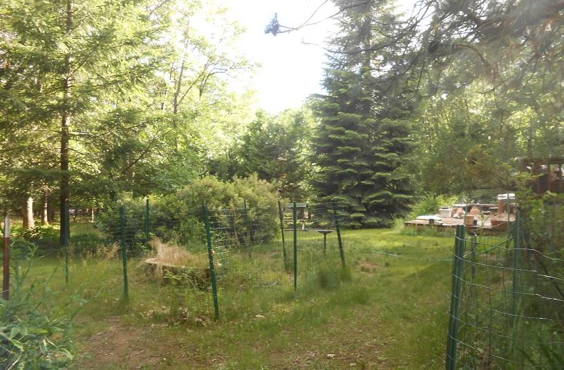 1445 Mott Road Mount Shasta, CA 96067 - Photo 8 of 8 DSCN9721