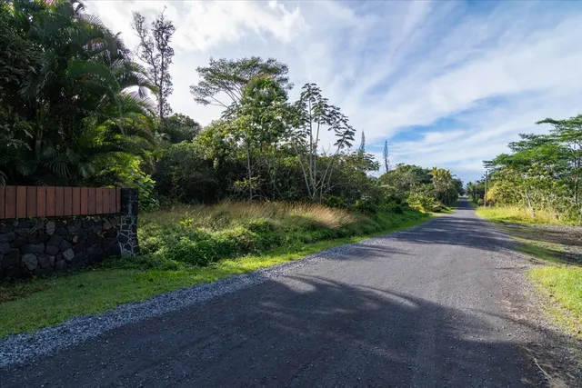a view of a street with a small yard and a large tree
