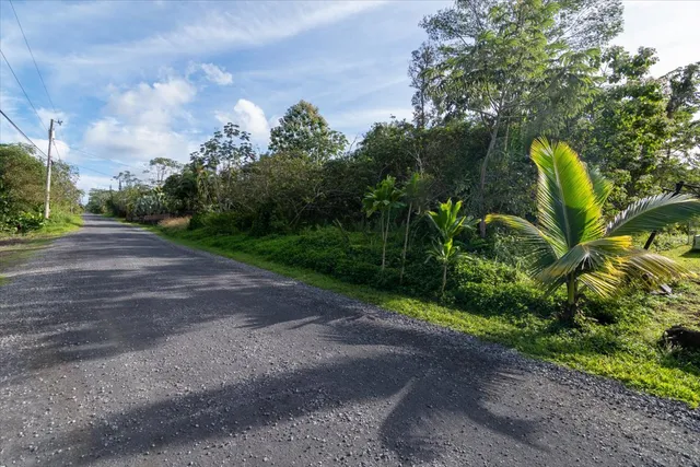 a view of a road with a houses in back