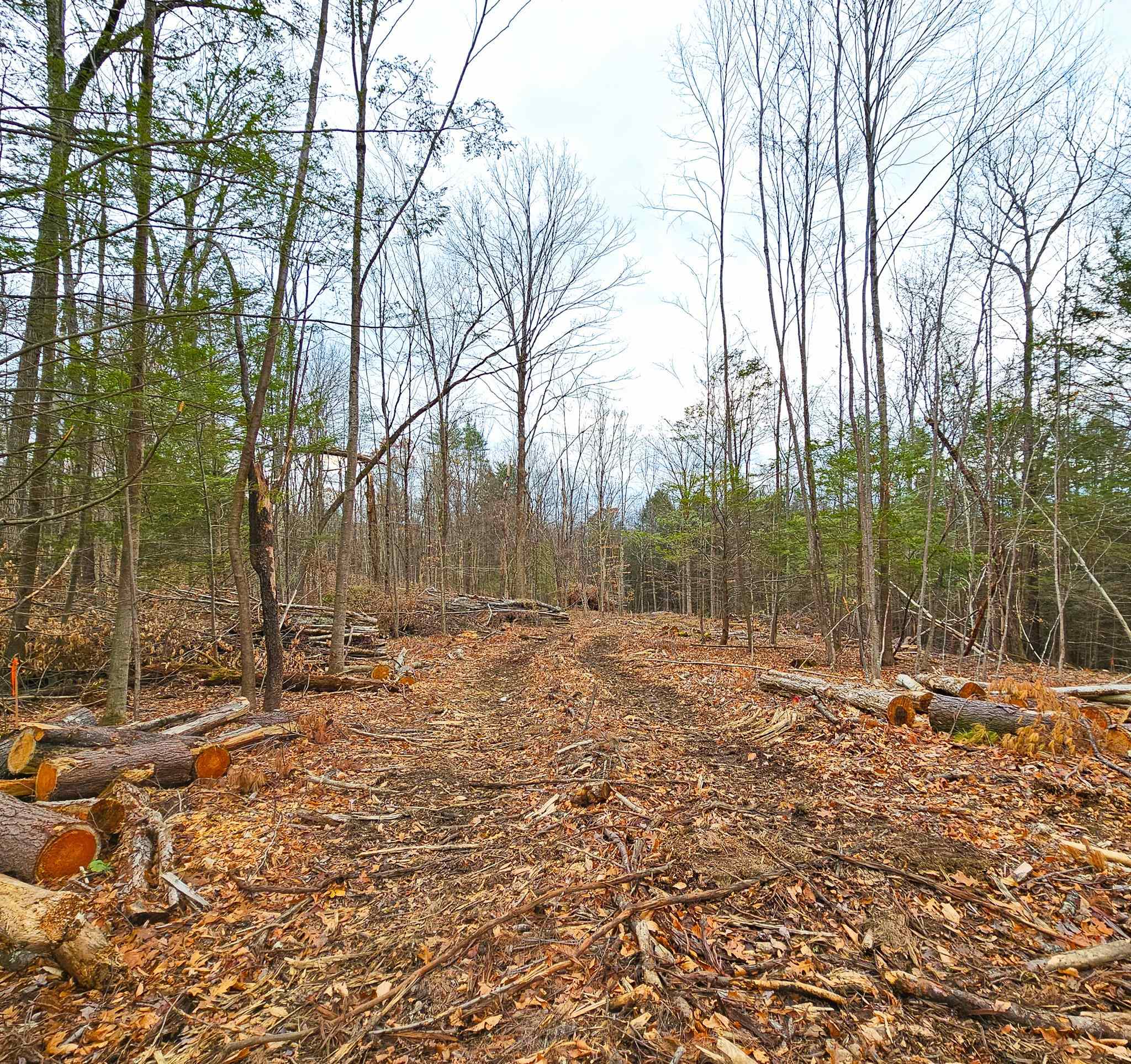 Lot 26-4 Plain Road Hinsdale, NH 03451 - Photo 22 of 28