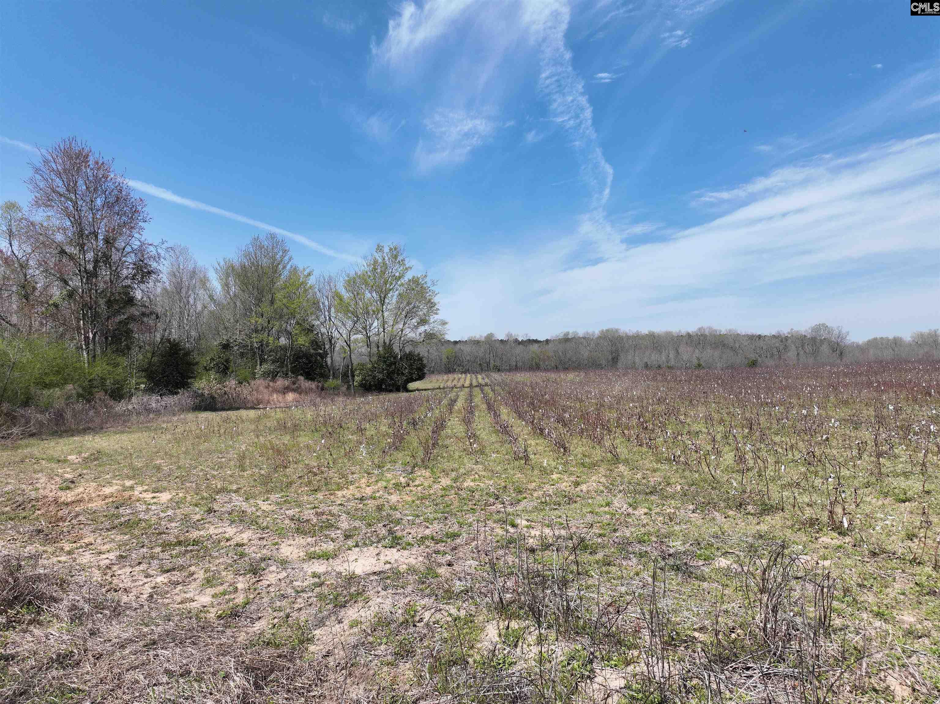 0 Dr Boylston Road Salley, SC 29137 - Photo 34 of 41