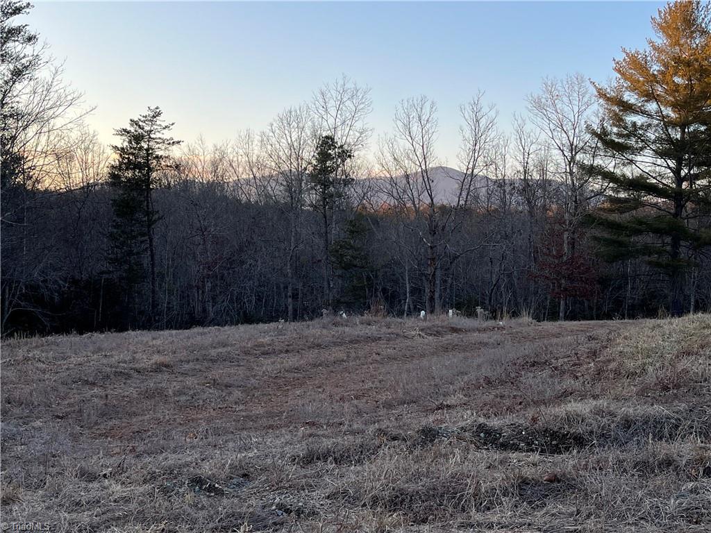 0 Ring Pl Road Mount Airy, NC 27030 - Photo 1 of 9 Gallery Image 1
