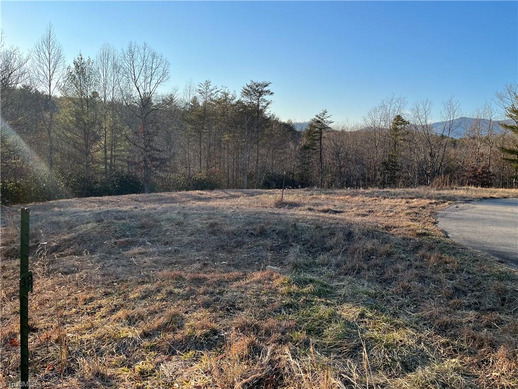0 Ring Pl Road Mount Airy, NC 27030 - Photo 2 of 9 Gallery Image 2