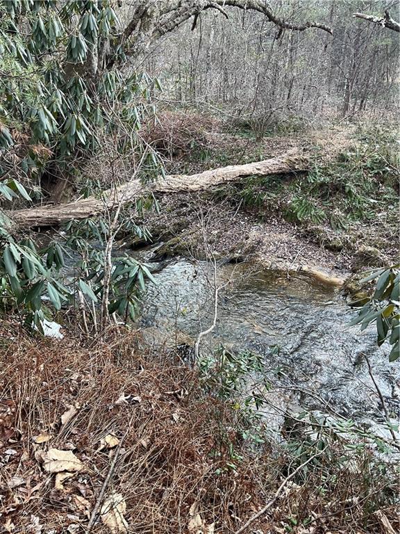0 Ring Pl Road Mount Airy, NC 27030 - Photo 4 of 9 Gallery Image 4