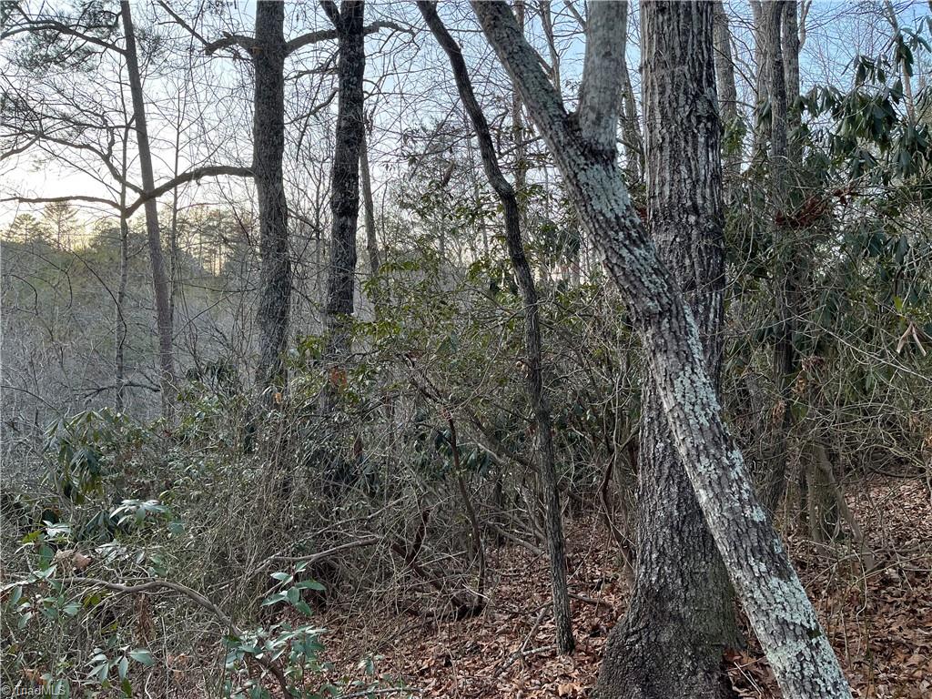 0 Ring Pl Road Mount Airy, NC 27030 - Photo 7 of 9 Gallery Image 7