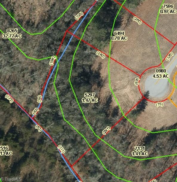 0 Ring Pl Road Mount Airy, NC 27030 - Photo 9 of 9 Gallery Image 9