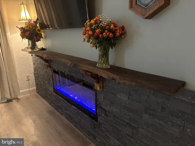 a view of a room with a potted plant