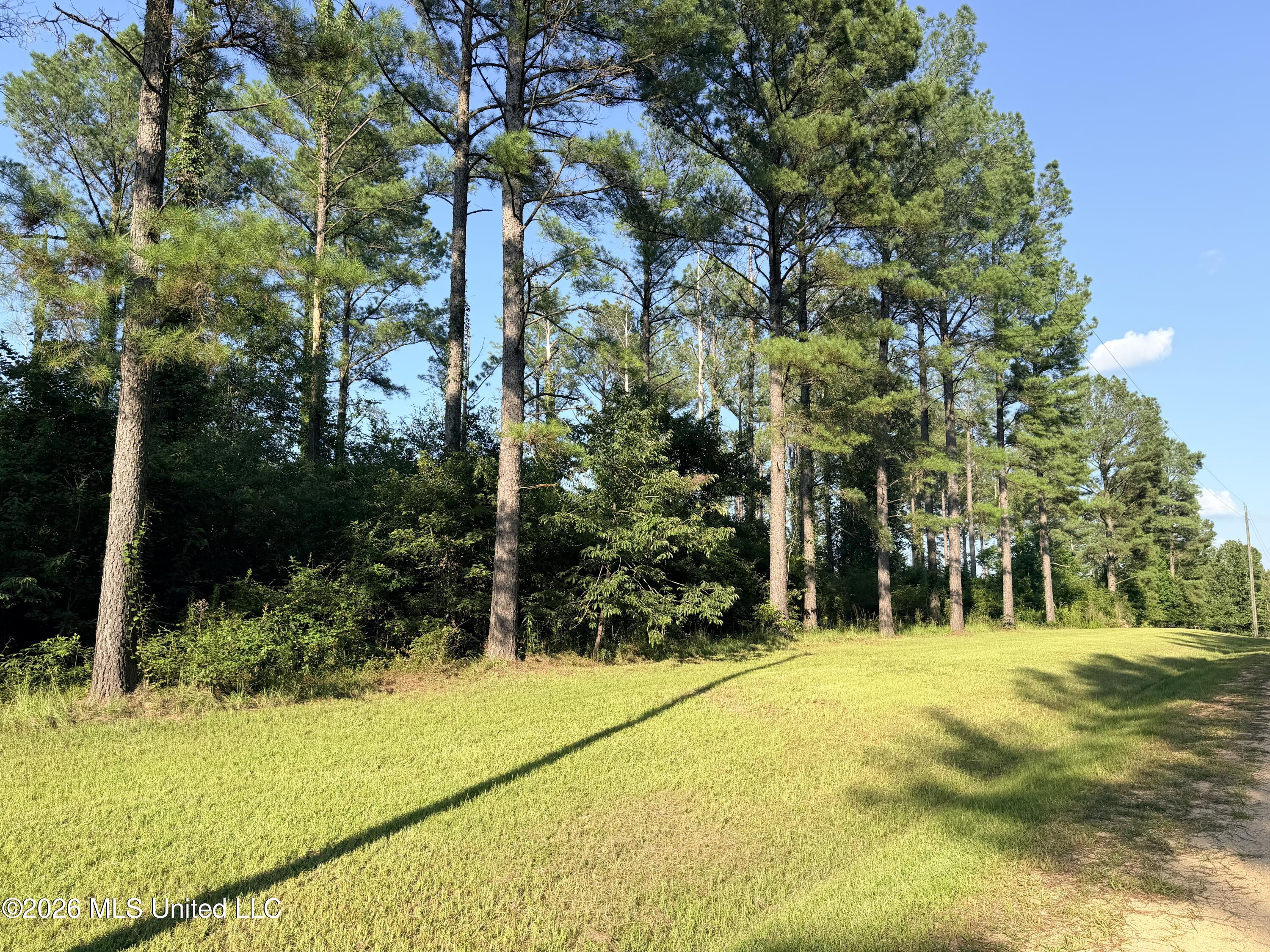 Lake Springwater Drive Brandon, MS 39042 - Photo 5 of 10 IMG_3642