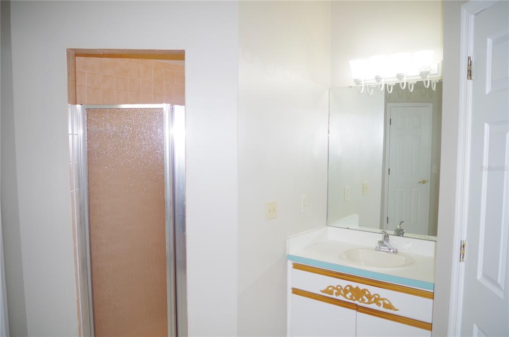 4207 Elba Place Valrico, FL 33596 - Photo 19 of 24 a bathroom with a granite countertop sink and a mirror