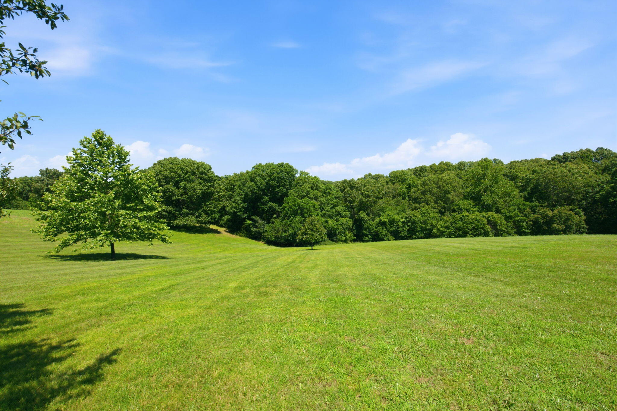 963 Walnut Shade Road Crane, MO 65633 - Photo 54 of 73 56-web-or-mls-_DSC2473