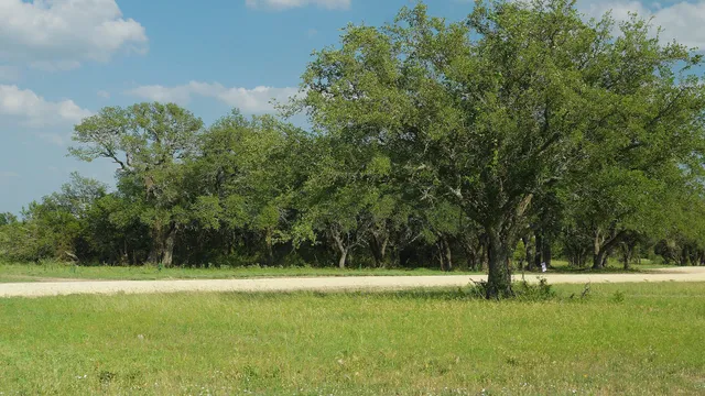 a view of a grassy field with trees in the background