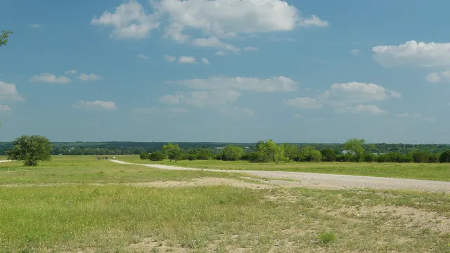 a view of a forest from a balcony