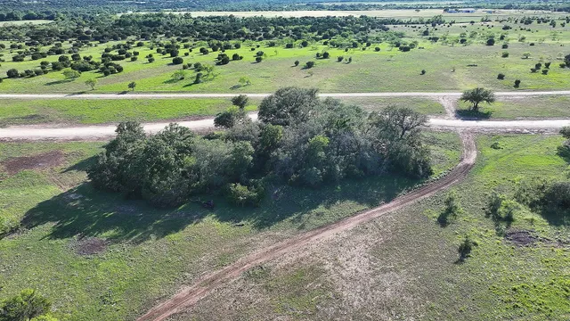 an aerial view of green landscape with trees