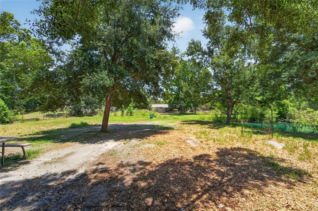 1205 Crystal Springs Road Zephyrhills, FL 33540 - Photo 50 of 79