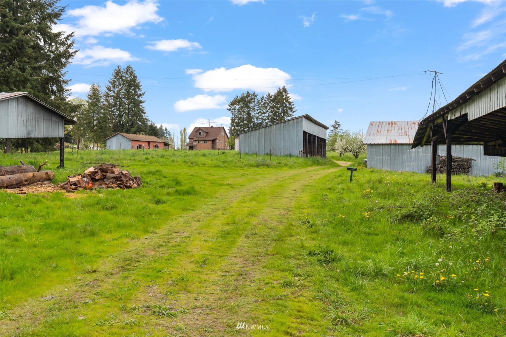 104 Reinseth Road Winlock, WA 98596 - Photo 26 of 35 a backyard of a house with lots of green space