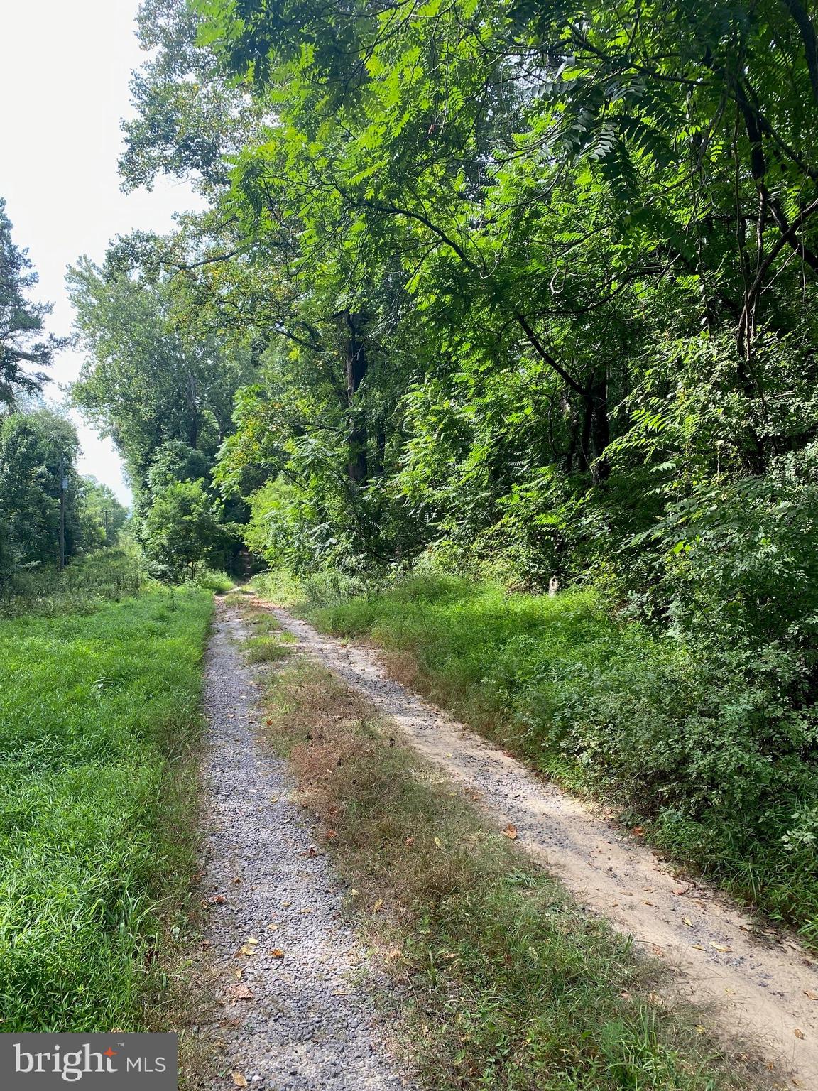 Tbd Jackson Lane Boston, VA 22713 - Photo 2 of 32