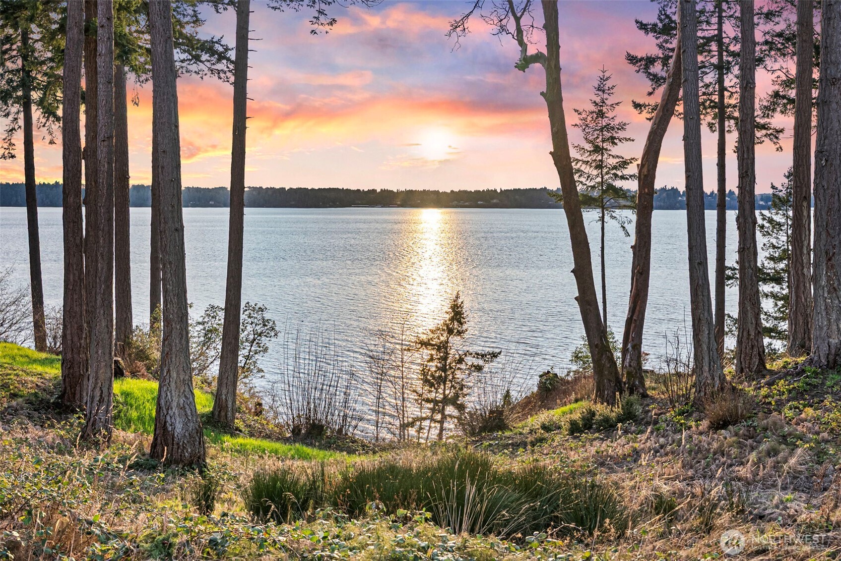 17510 88th Street Southwest Longbranch, WA 98351 - Photo 3 of 40 a view of lake with a yard