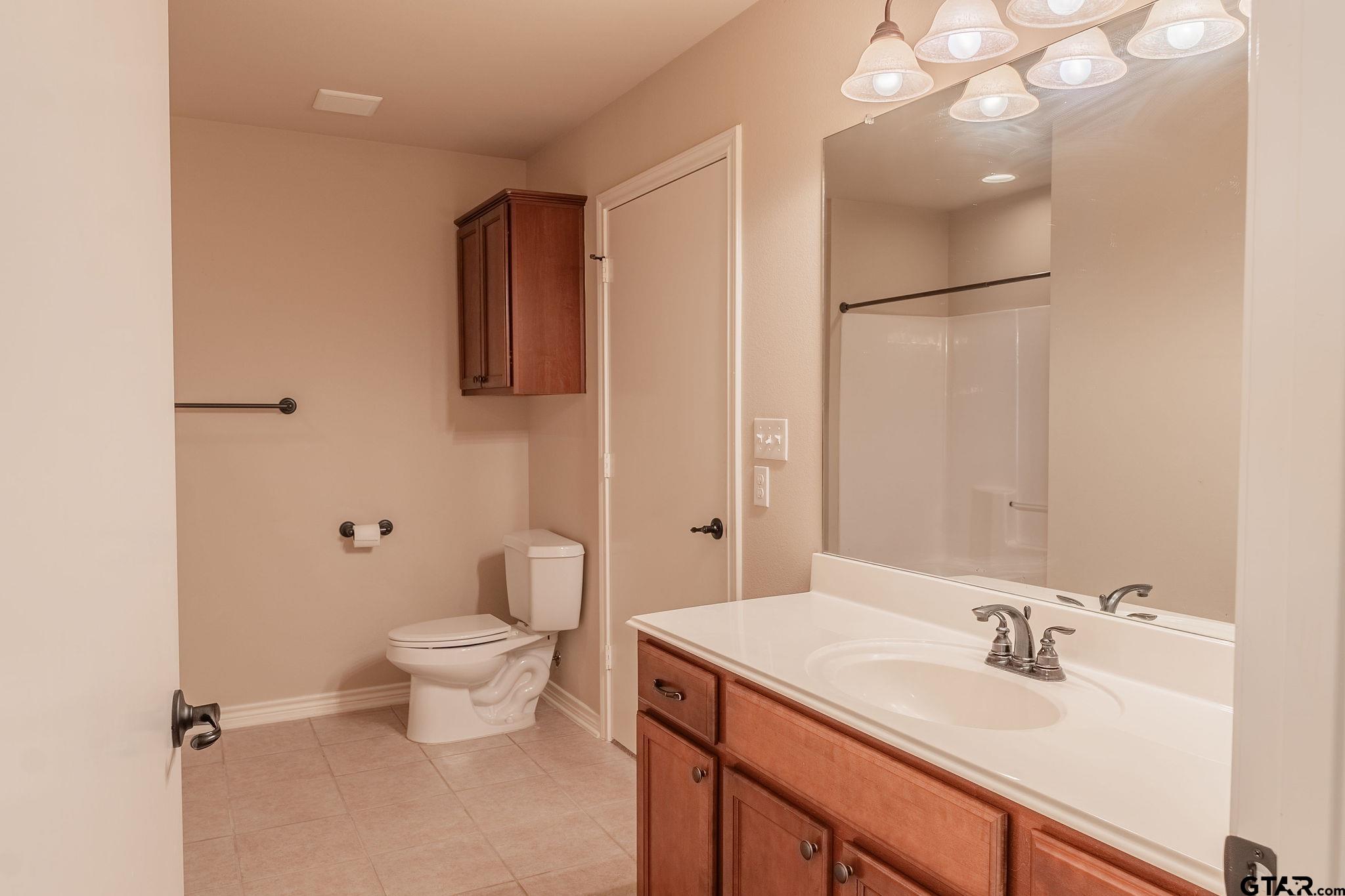 421 West Cumberland Road, Unit 703 Tyler, TX 75703 - Photo 11 of 29 a bathroom with a sink and a mirror