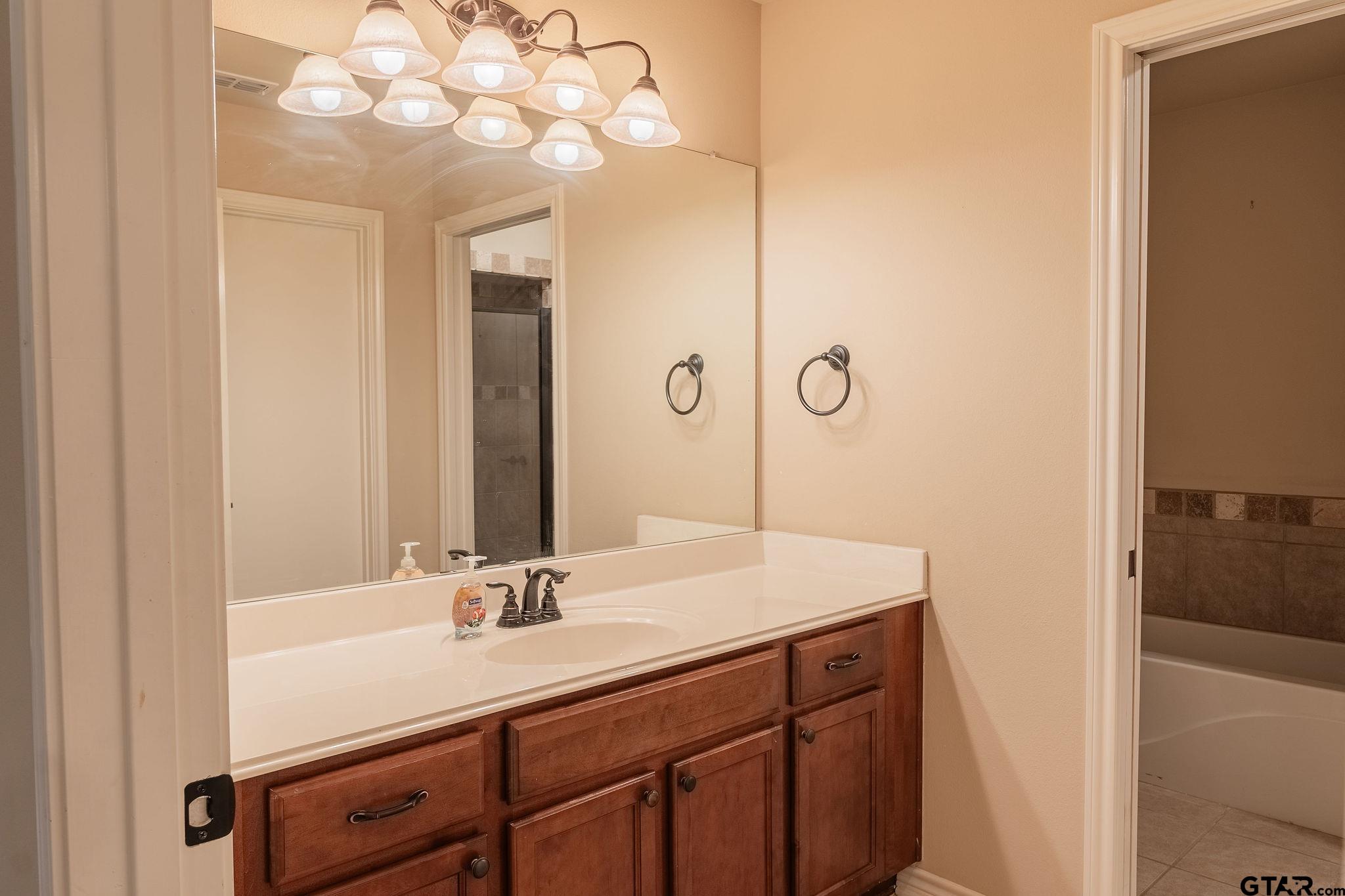 421 West Cumberland Road, Unit 703 Tyler, TX 75703 - Photo 20 of 29 a bathroom with a sink a vanity and a mirror