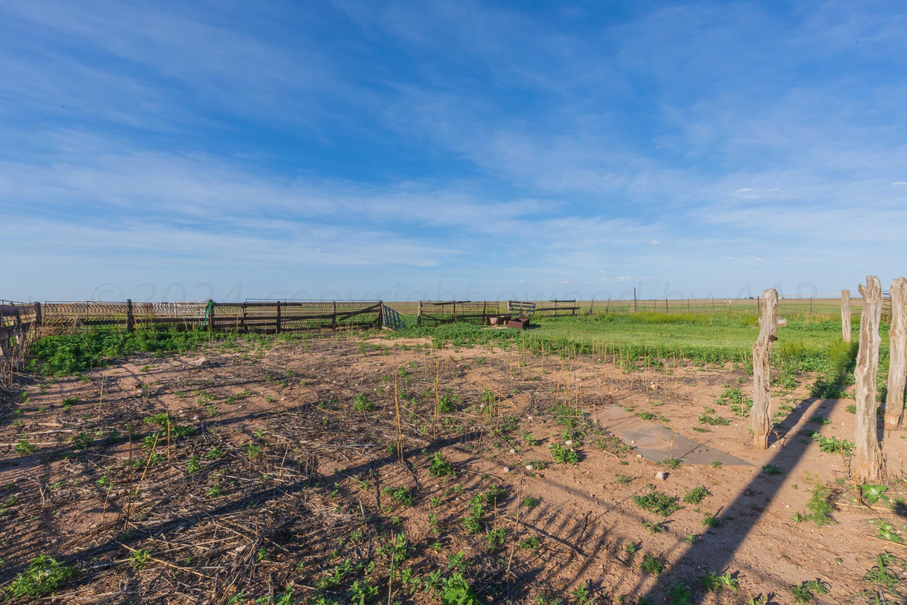 4825 Highway 207 Claude, TX 79019 - Photo 41 of 53 LAND VIEW 6