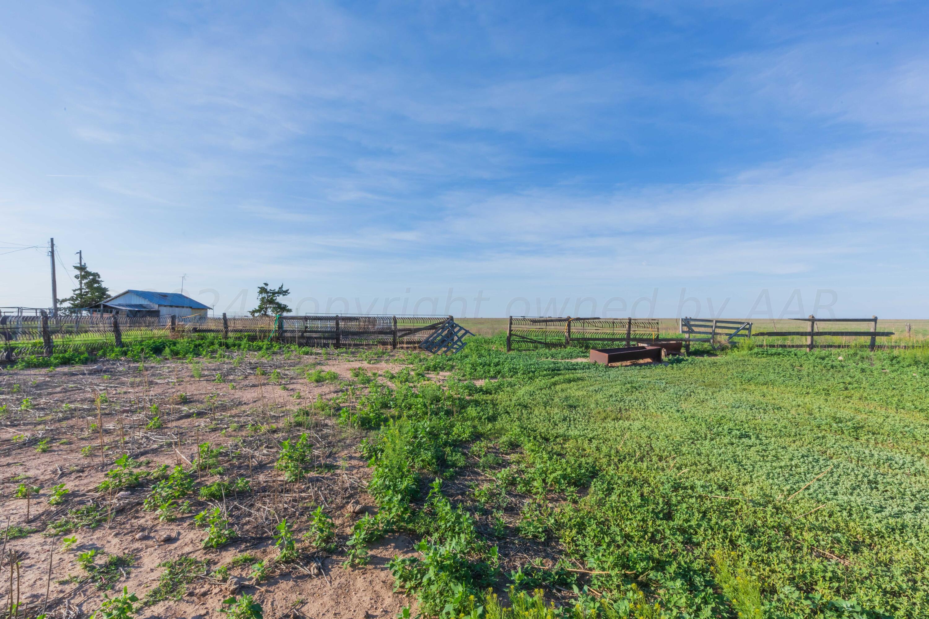 4825 Highway 207 Claude, TX 79019 - Photo 43 of 53 LAND VIEW 8