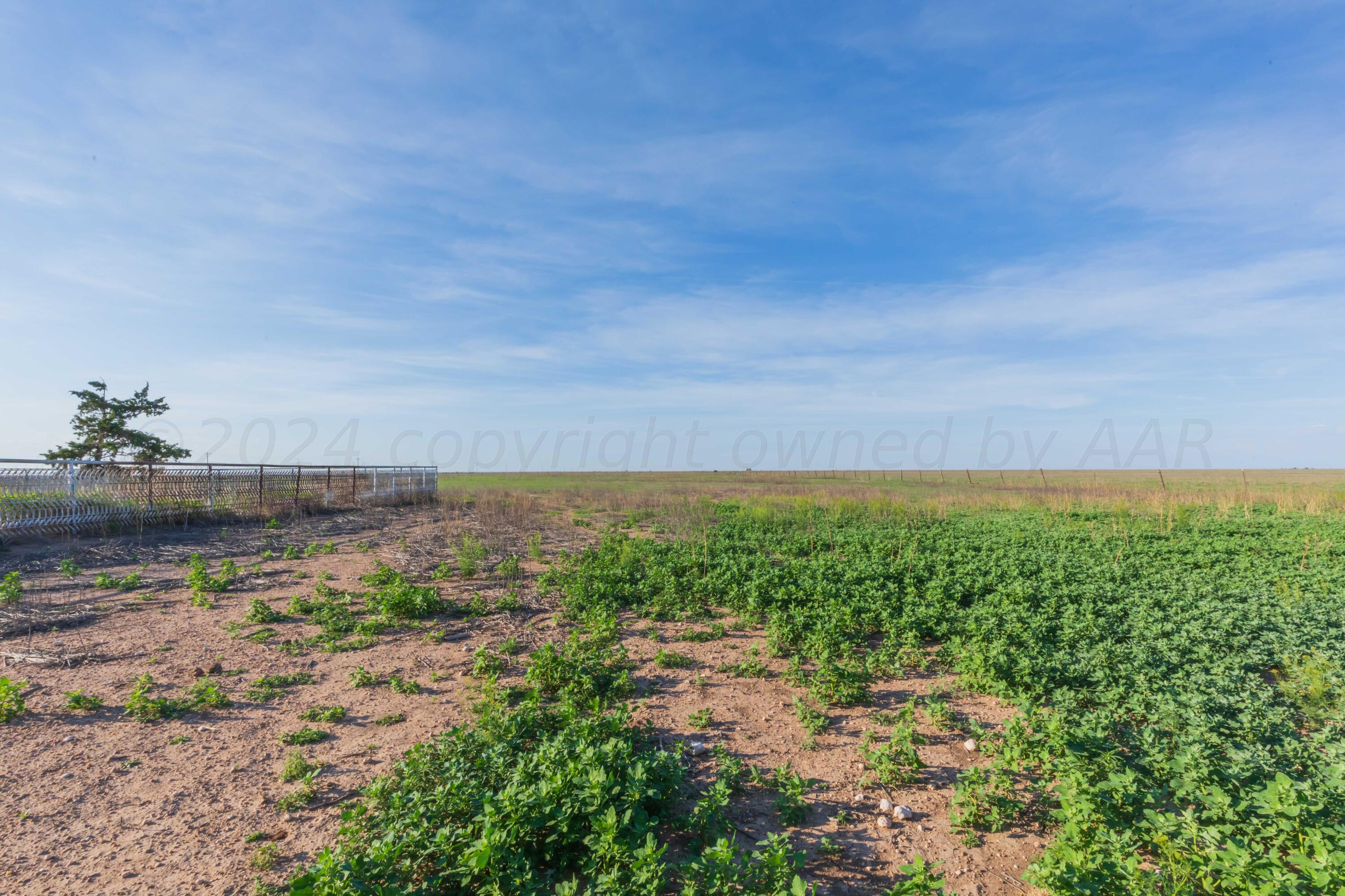 4825 Highway 207 Claude, TX 79019 - Photo 44 of 53 LAND VIEW 9