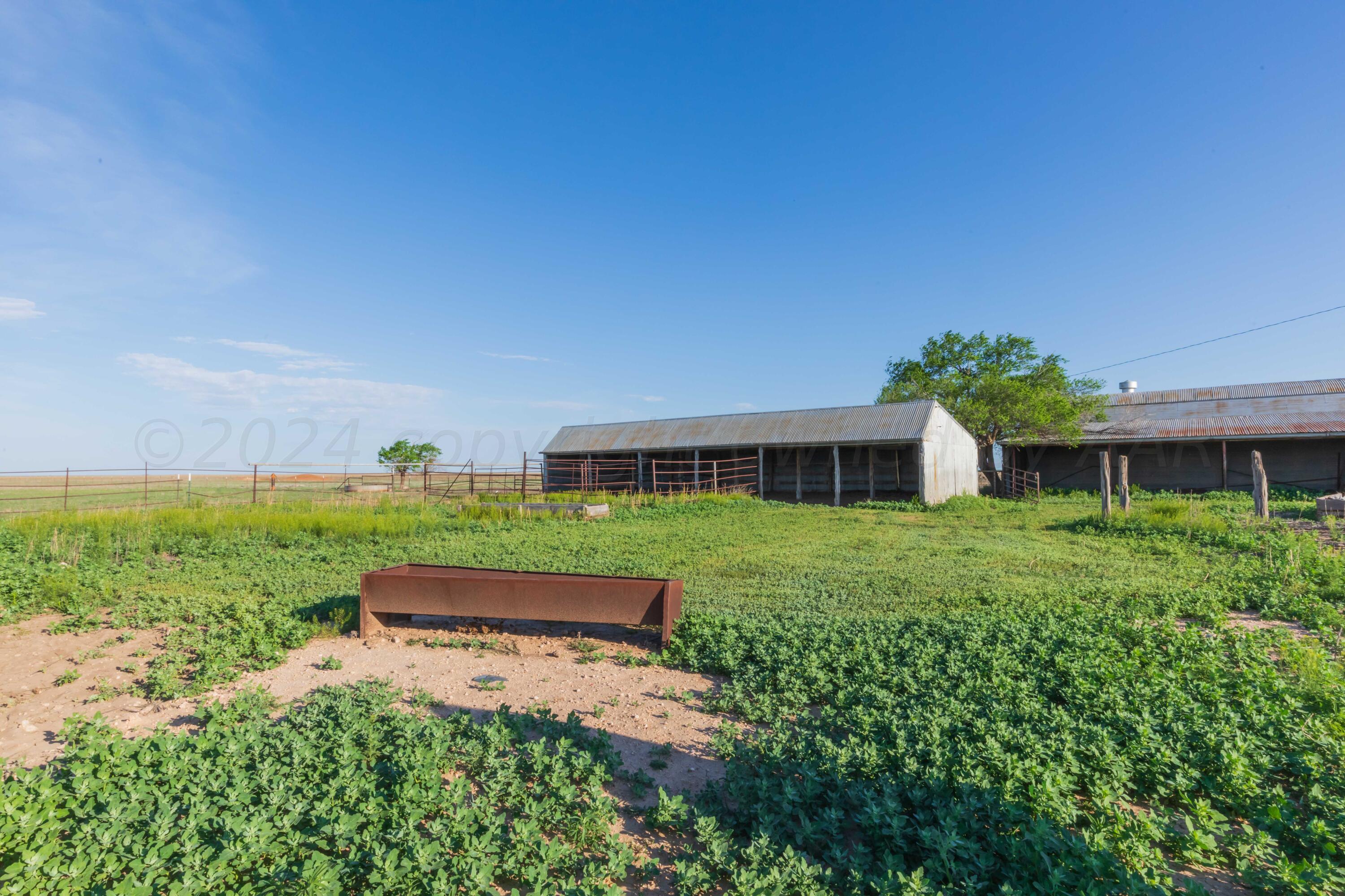 4825 Highway 207 Claude, TX 79019 - Photo 46 of 53 LAND VIEW 11