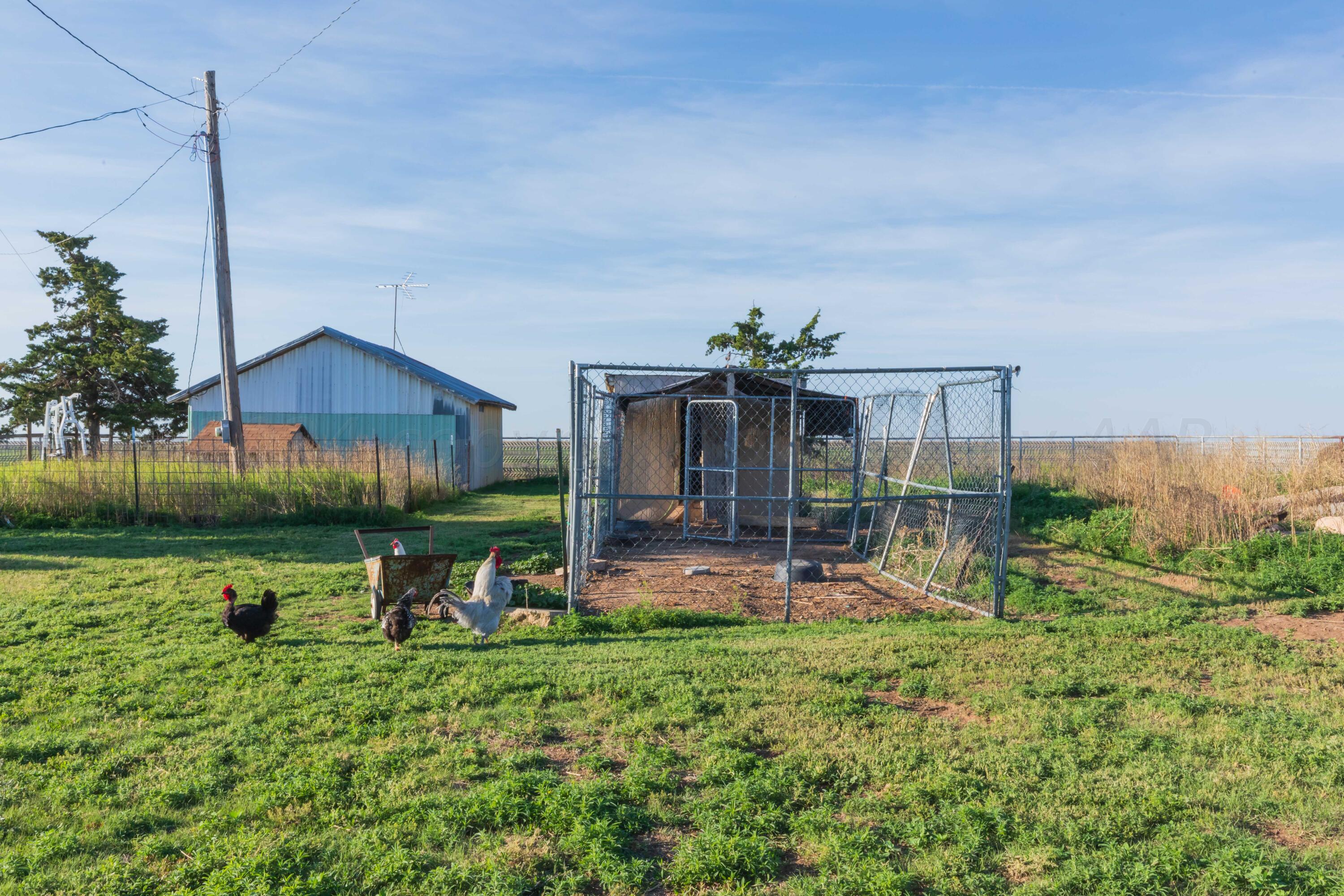4825 Highway 207 Claude, TX 79019 - Photo 49 of 53 CHICKEN COOP VIEW 1