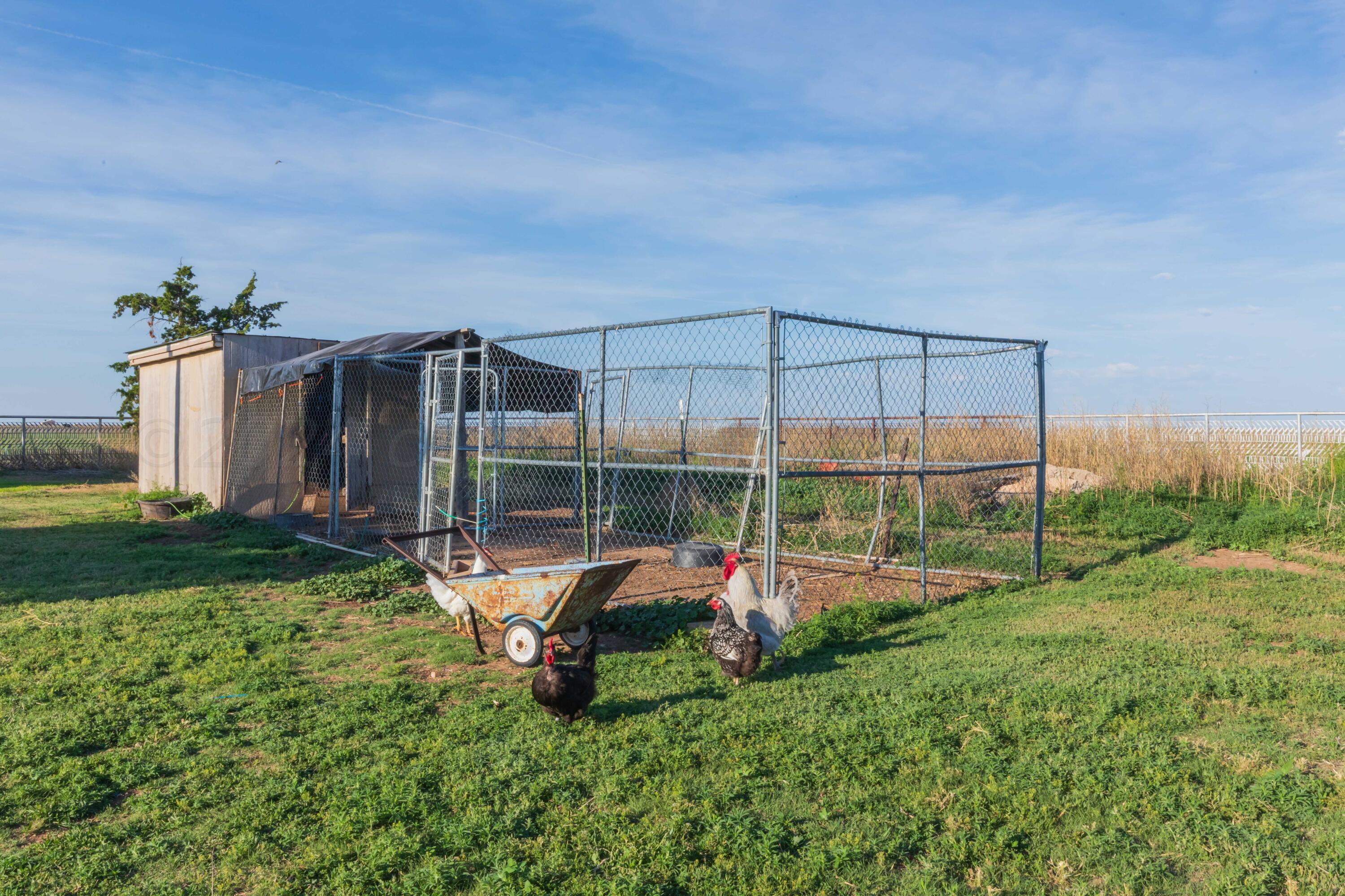 4825 Highway 207 Claude, TX 79019 - Photo 50 of 53 CHICKEN COOP VIEW 2