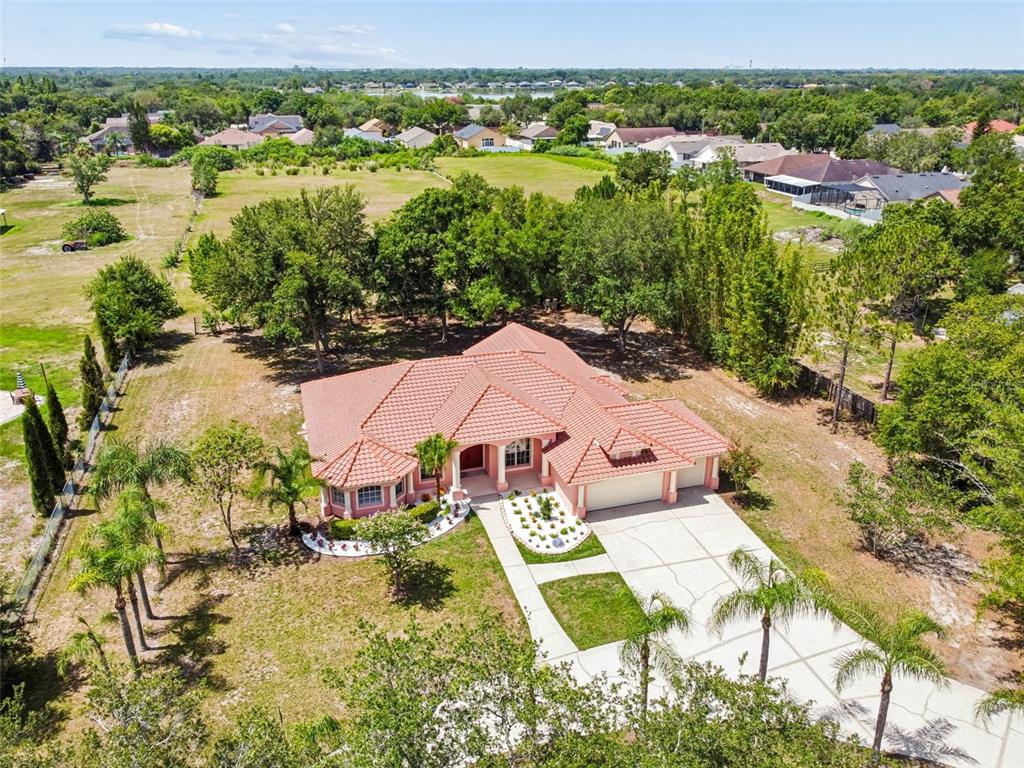 9619 Springbrook Drive Riverview, FL 33578 - Photo 50 of 55