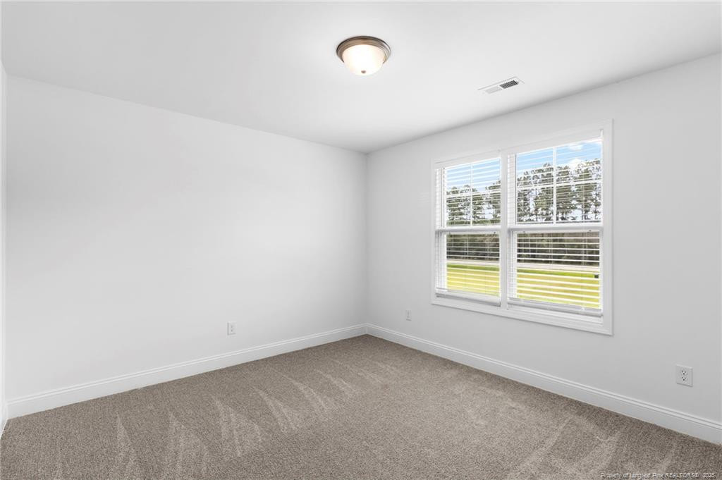 176 Josey Williams Road Erwin, NC 28339 - Photo 29 of 40 Photo 29