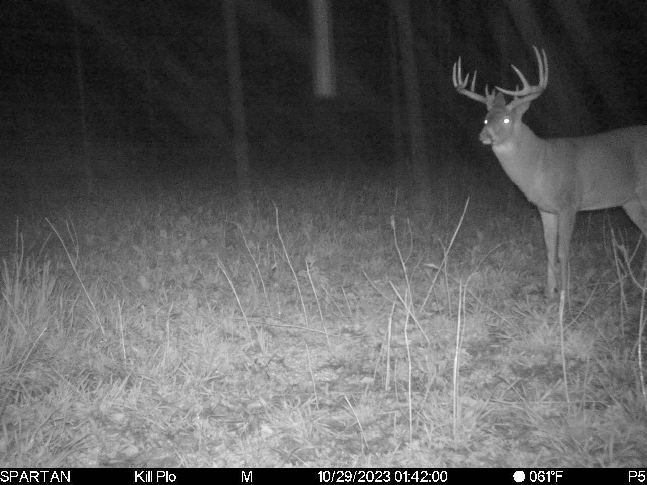 0 Stoneburner Road Northwest Crooksville, OH 43731 - Photo 14 of 26 image17