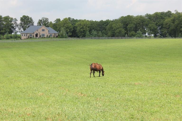 330 McNease Road Paris, KY 40361 - Photo 38 of 41 Photo 38